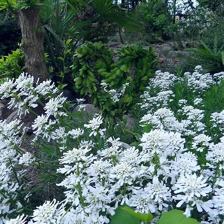 Bed & Breakfast Cuore 3*