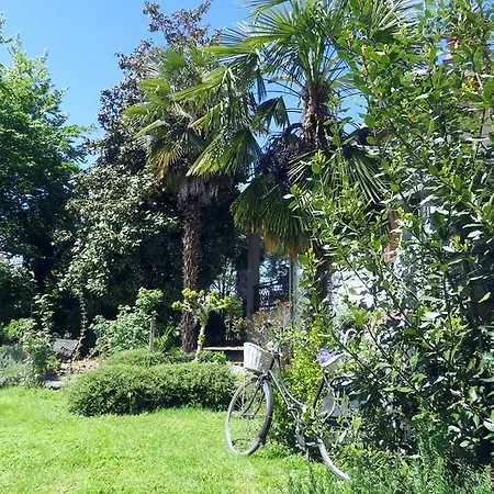 Cuore * Cavour