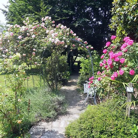 Bed & Breakfast Cuore Cavour