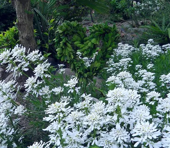 Bed and Breakfast Cuore 3*