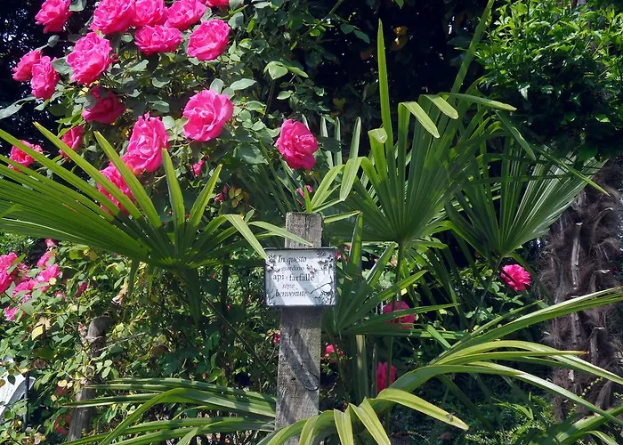 Bed and Breakfast Cuore Καβούρ